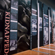 From slavery to mass incarceration